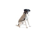 Hunde - Chill Kuzzi Beruhigender Hoodie, 40 cm, grau - 380432