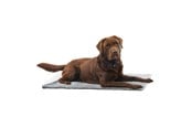 Hunde - KRUUSE Vet Bed Anti-Slip - Grey - 75x50cm - Polyester Fleece - 381614