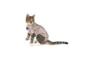 Katzen - KRUUSE BUSTER Body Suit Step'n Go for Cats - S - Viscose/Elastane - 273949