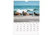 Kalender - Mayland Vægkalender Verdens dyr 2027 - 27066330
