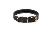Hunde - Timely TEXAS Halsband Schwarz 20 mm. / 35 cm. - 5907784919601