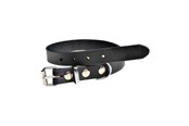 Hunde - Timely PRAG Halsband Schwarz 25 mm. / 60 cm. - 5907784897121