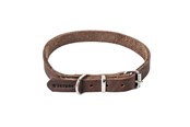 Hunde - Timely PRAG Halsband Dunkelbraun 20 mm. / 55 cm. - 5907784897015