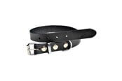 Hunde - Timely PRAG Halsband Schwarz 12 mm. / 25 cm. - 5907784920522