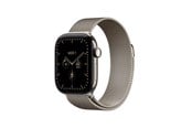 Smartwatches, Pulsuhren, Sportuhren & Schrittzähler - Apple Watch Series 12 GPS + Cellular 42mm Natural Titanium Case with Natural Milanese Loop - MJGH4QN/A