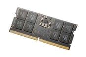 Arbeitsspeicher (RAM) - Team Group Team Elite - DDR5 - module - 16 GB - SO-DIMM 262-pin / PC5-44800 - unbuffered - TED516G5600C46A-S01