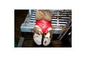 Pferd - KRUUSE BOVIVET Hoof Bandage 10/pk - 220420