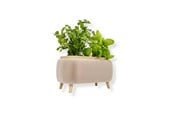Einrichtung - Simiu - Thalor Herbs - Gewürz-Kräutertopf - Groß - 5714255019612