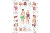 Puzzle - Larsen Puzzles Puzzle Unser Körper - 35-teilig, Maxi (36.5x28.5 - OB1