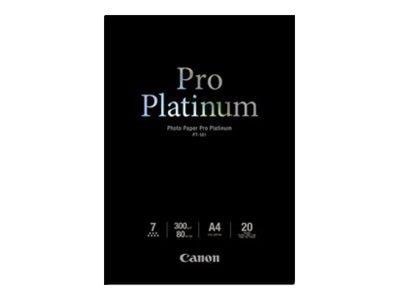 Canon Paper Pt-101 / 2768b016 Pro Platin - Papier Fotopapier Und Etiketten
