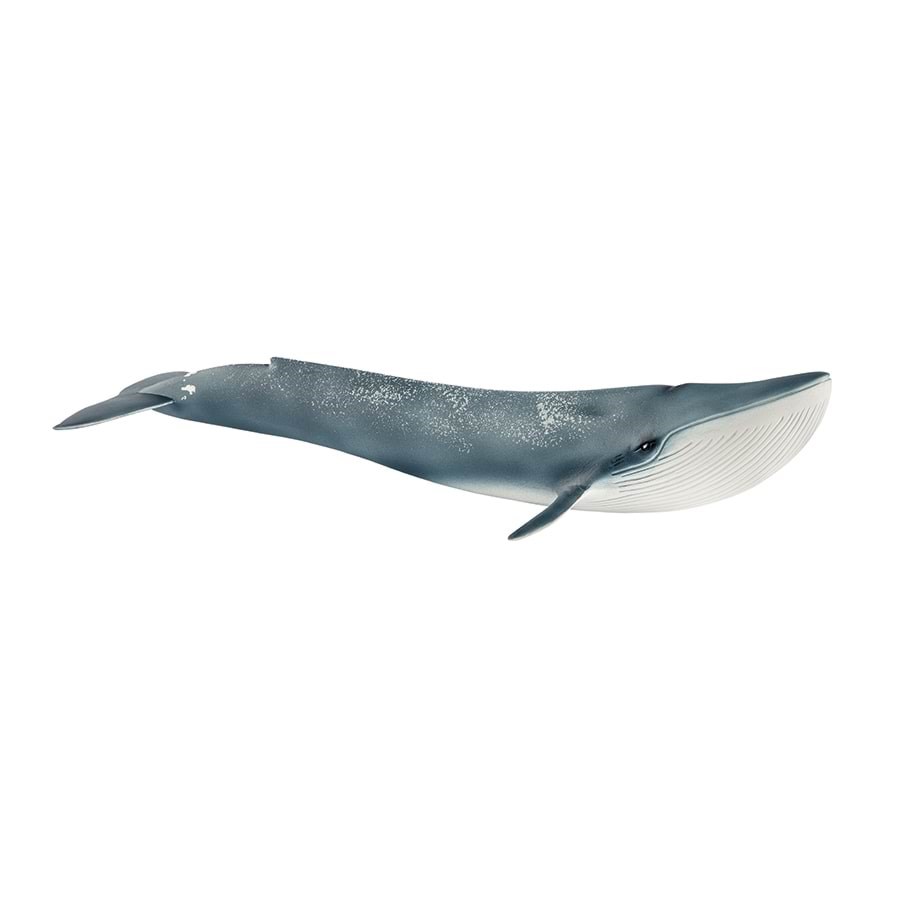 Schleich Blauer Wal 14806
