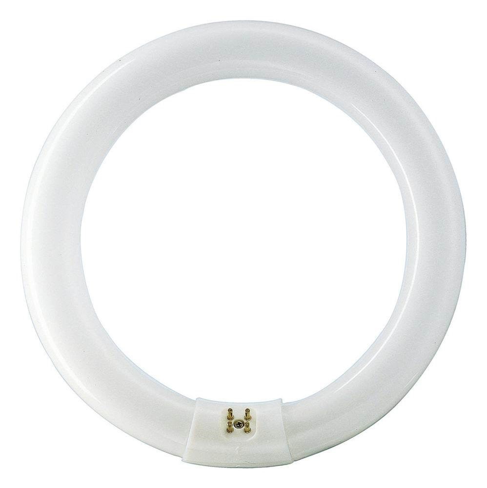 Philips Fluoreszierende Glühbirne Master Tl-e Circular 22w/840 G10q - Led Birnen 928026284070