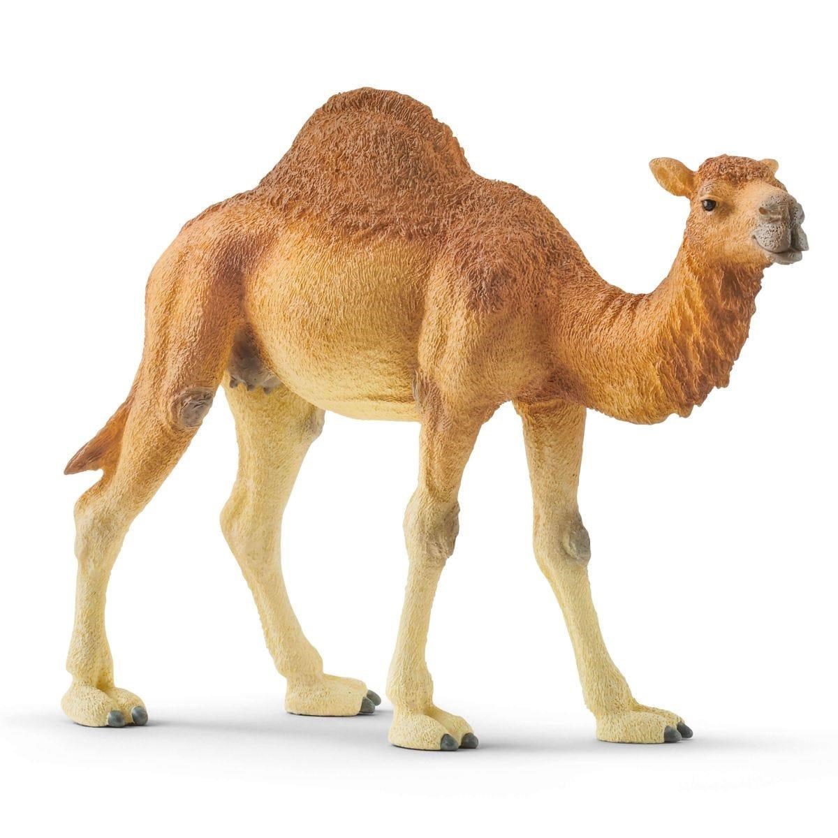 Schleich Dromedar