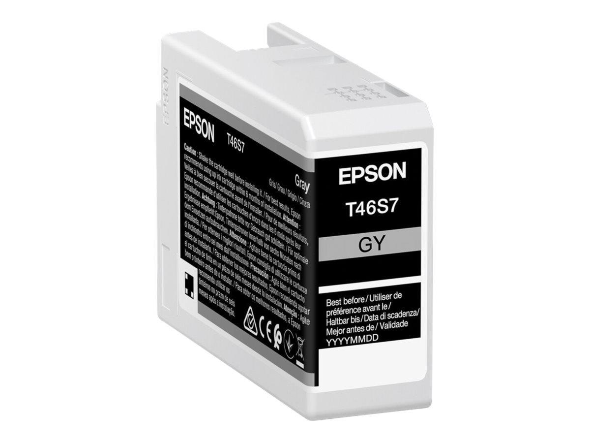 Epson Singlepack Gray T46s7 Ultrachrome Pro 10 Ink - Druckerzubehoer Tinte Toner Grau C13t46s700