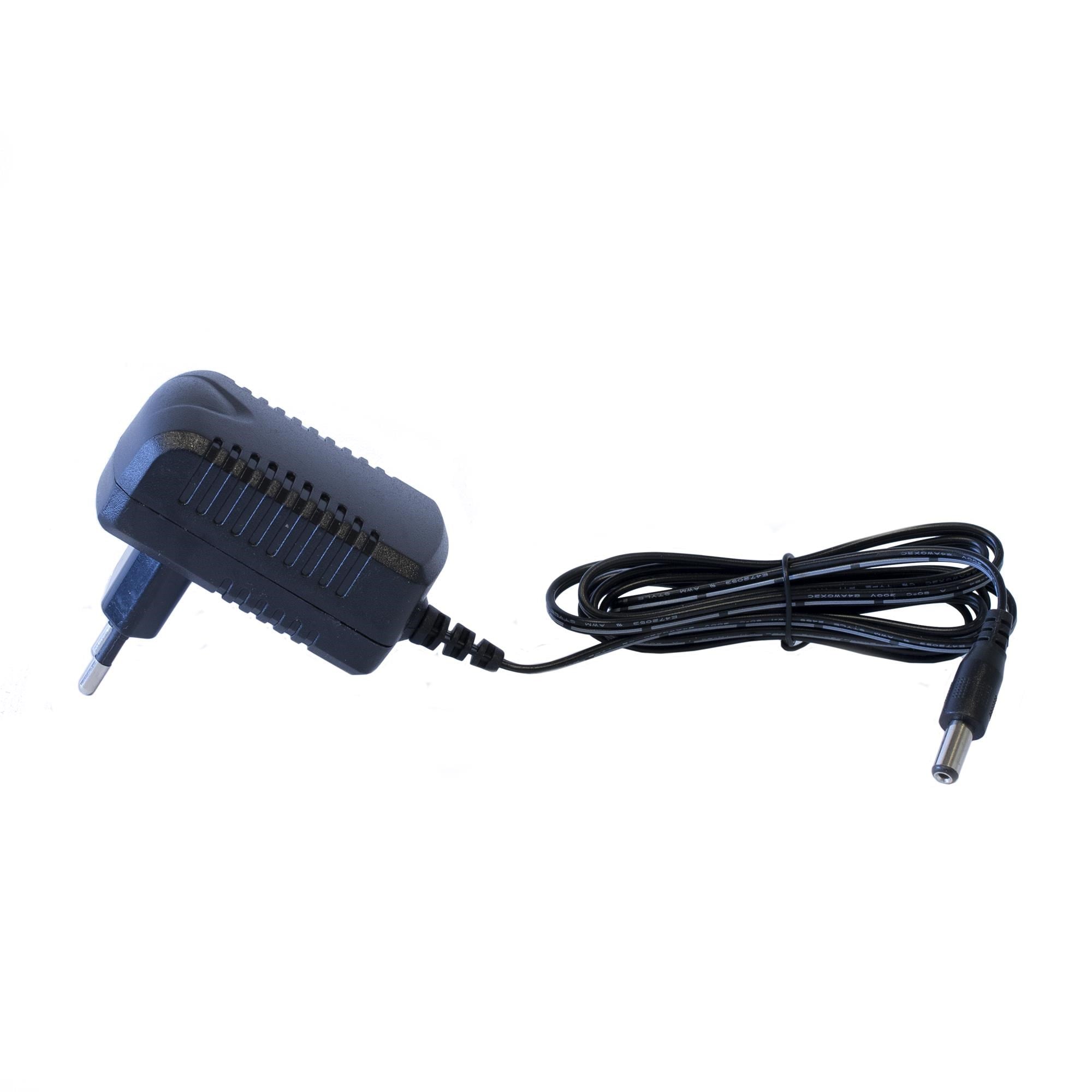 Nordic Play Charger For Electric Car 12 V Battery - Kinder Elektroauto