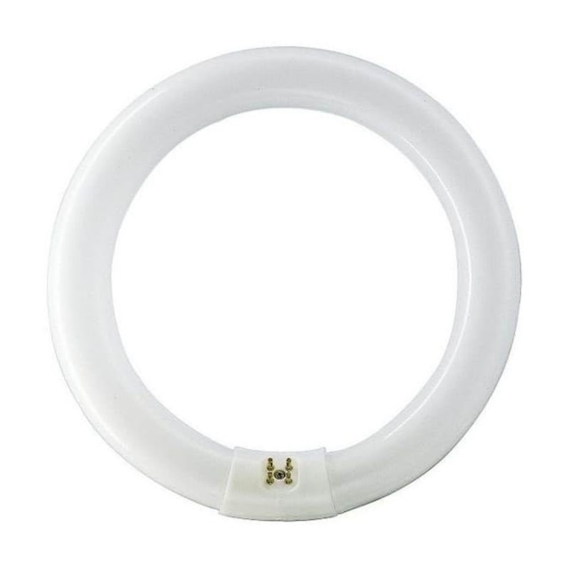 Osram Fluoreszierende Glühbirne Lumilux T9 C 40w 4000k G10q - Led Birnen 1000112163