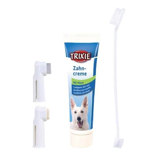 Trixie Dental Hygiene Set 100g - Hunde Tx2561