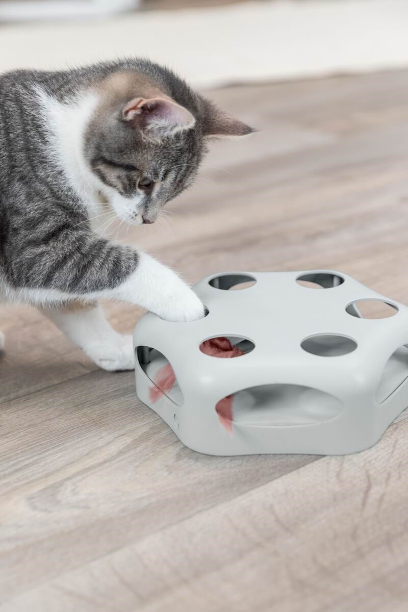 Trixie Katzenspielzeug Drehende Feder Tx46007
