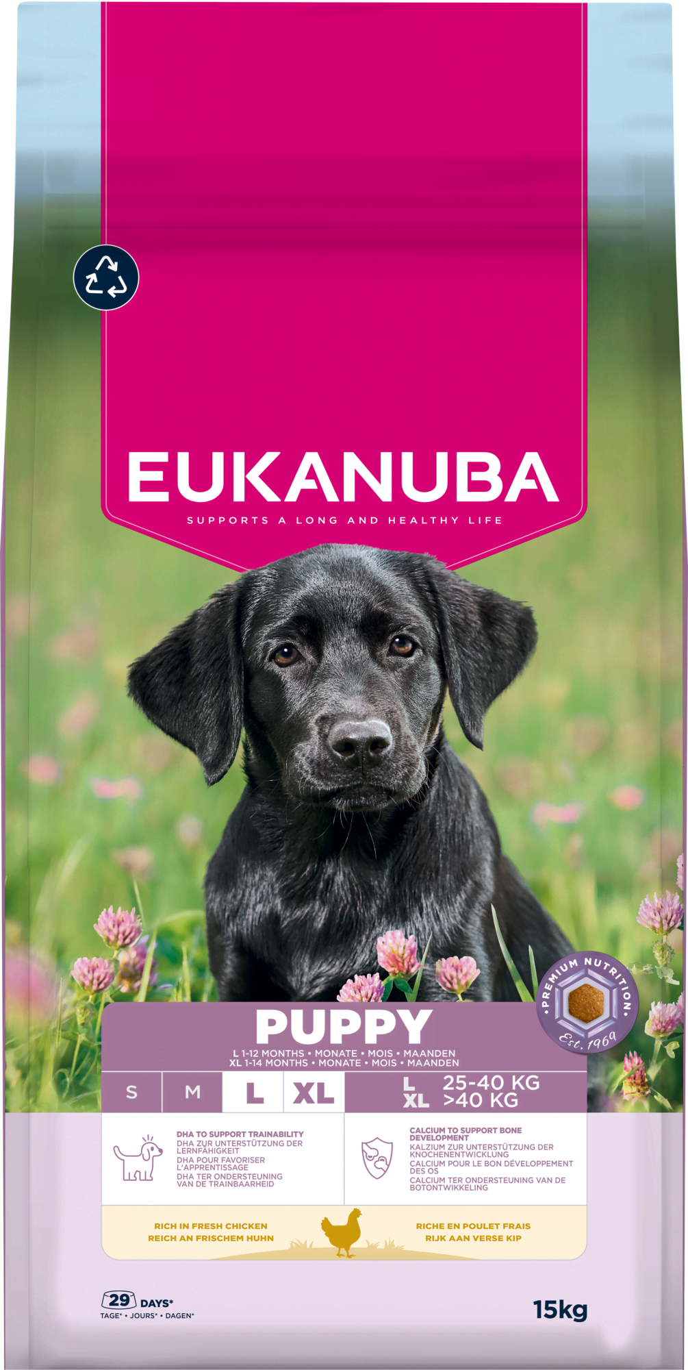 Eukanuba Puppy Large Breed Fresh Chicken 15kg - Hunde Eh031500