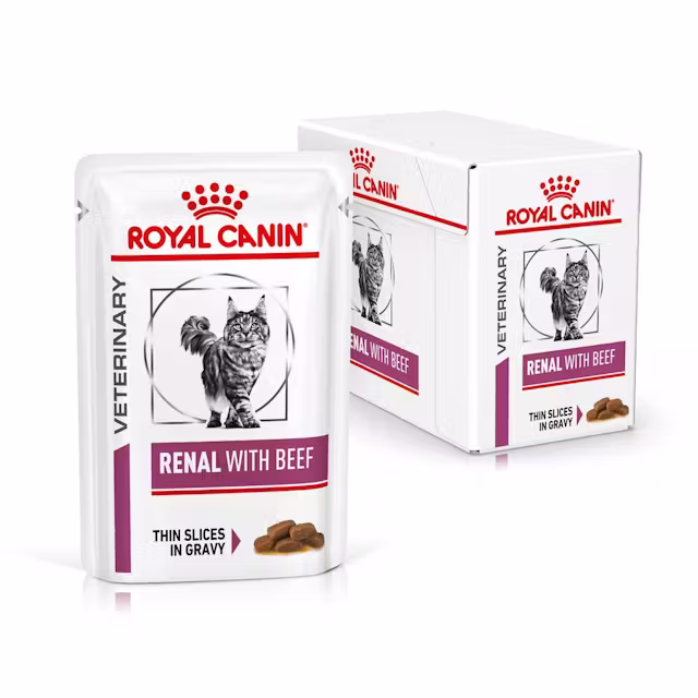Royal Canin Renal With Beef Thin Slices In Gravy 85g (12-pack) - Katzen