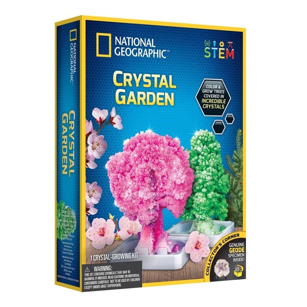 National Geographic Crystal Garden - Kreativ Spiele