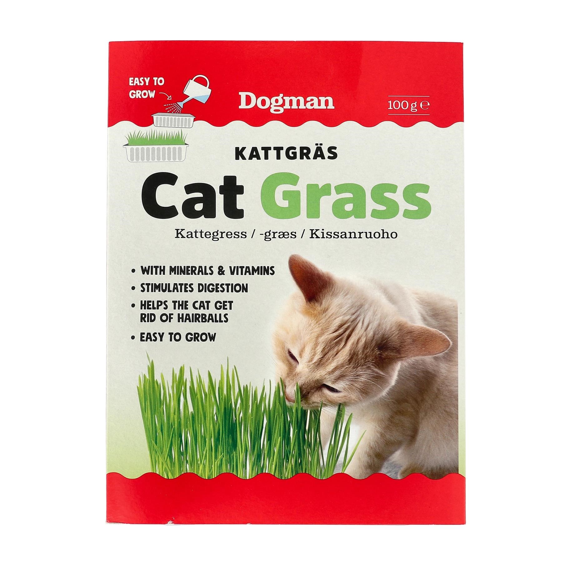 Dogman Cat Grass 100g - Katzen