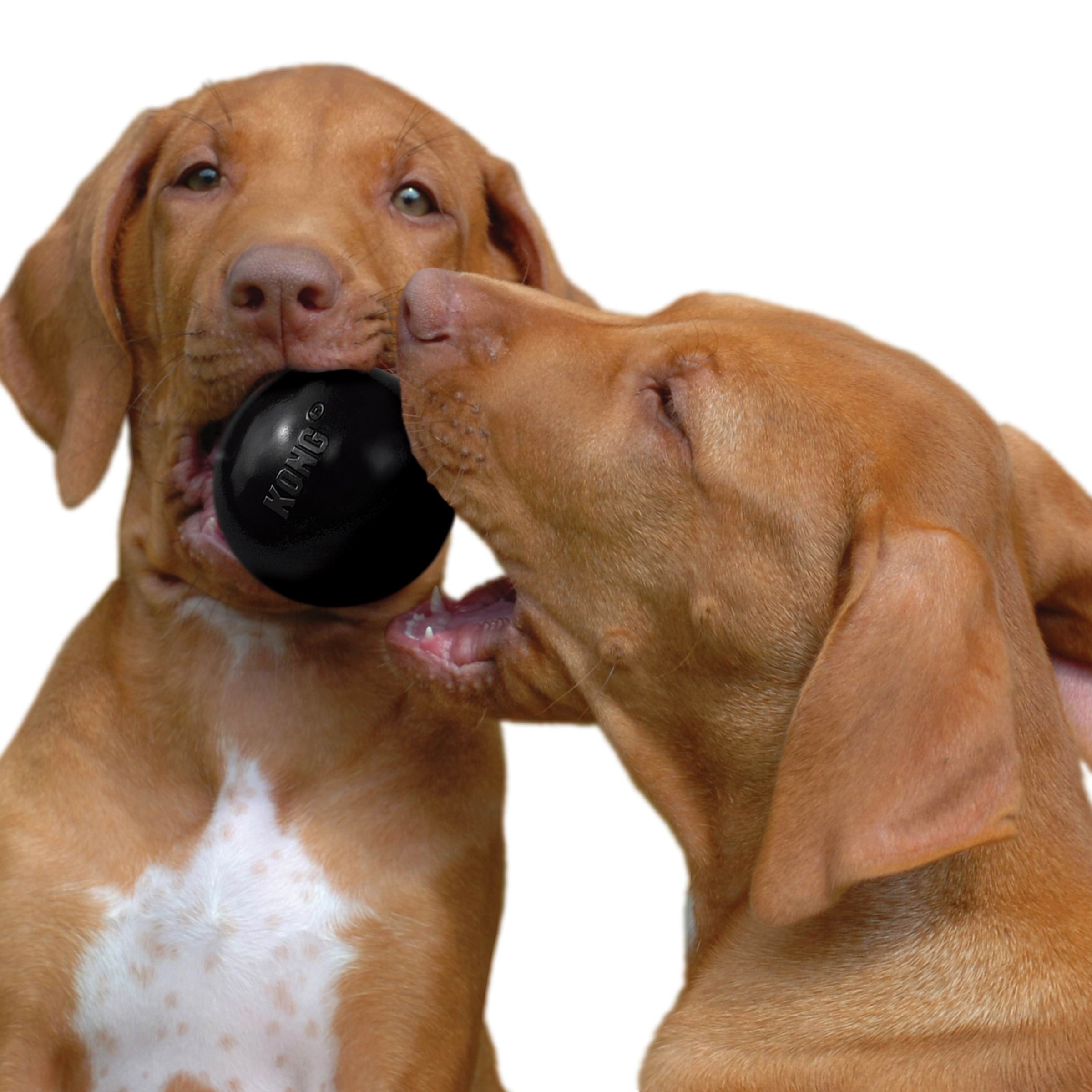 Kong Dog Toy Extreme Ball Medium/large 7.5cm - Hunde 340425