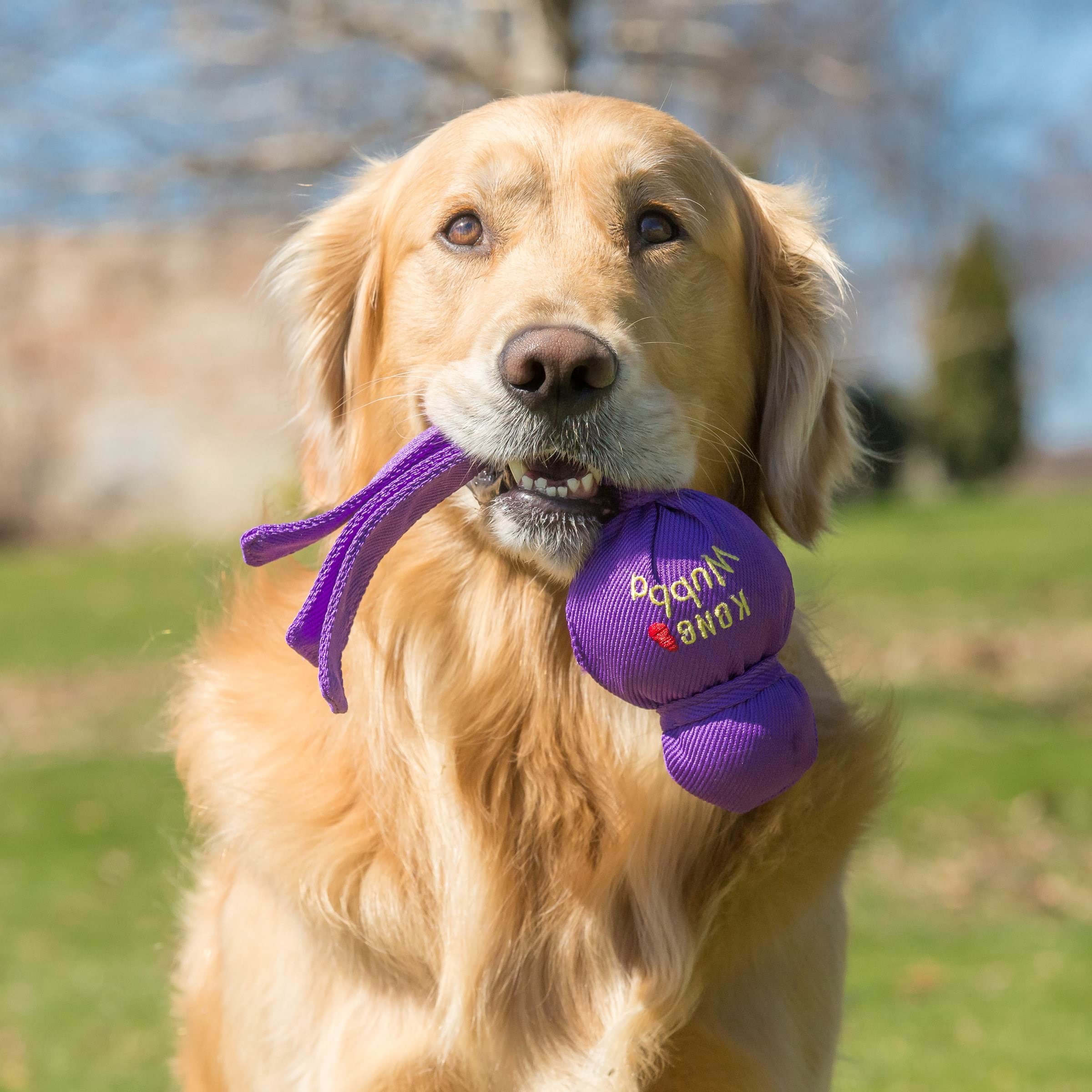 Kong Hundespielzeug Wubba Assorted Colors Large 32cm
