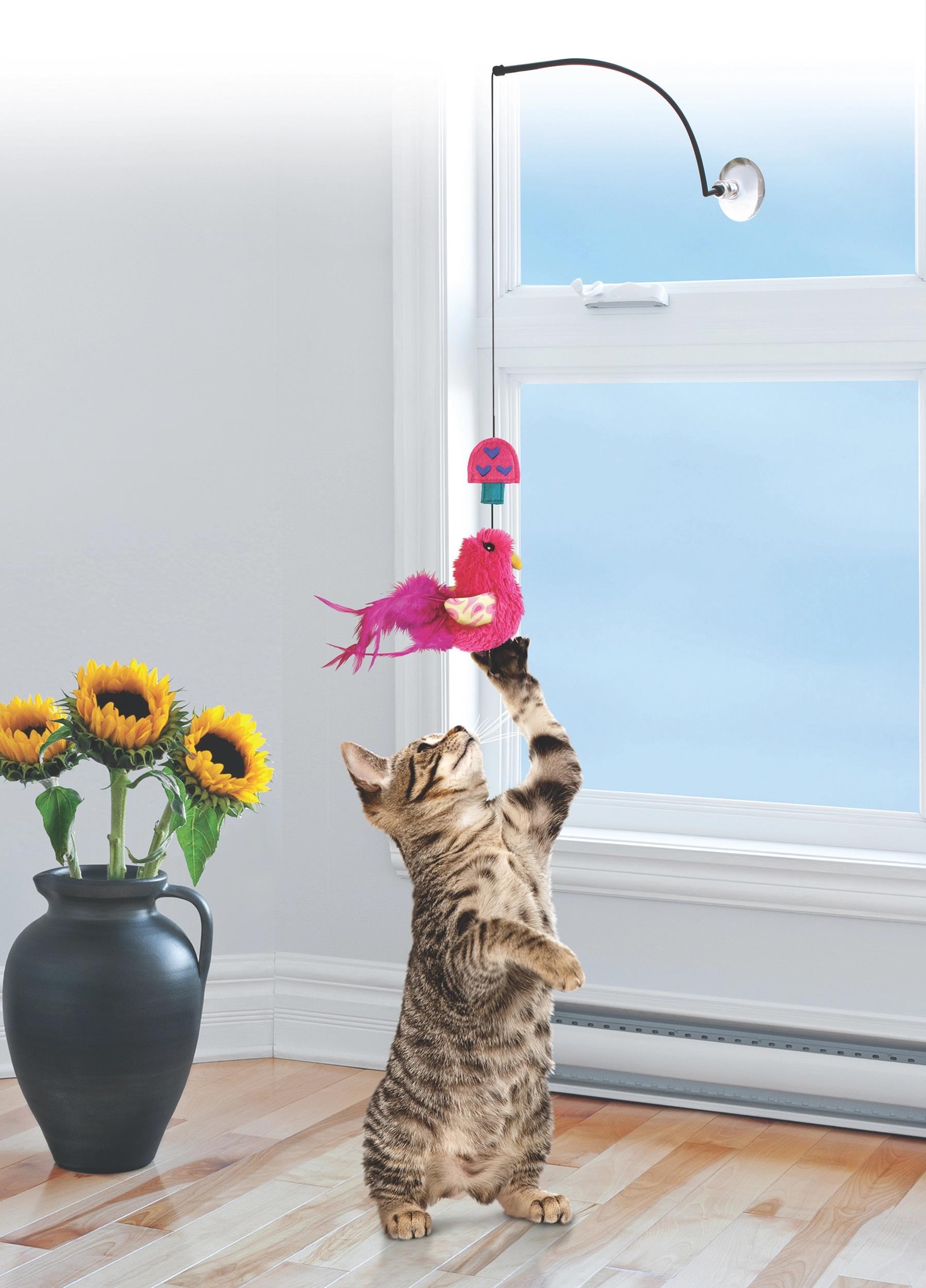 Kong Cat Toy Connects Window Teaser Assorted Colors - Katzen