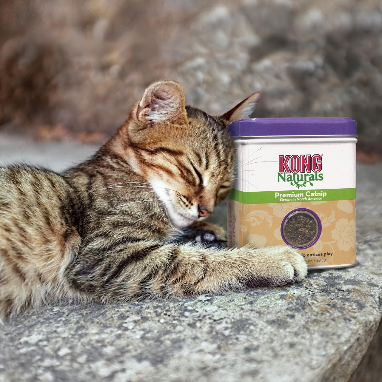 Kong Naturals Premium Catnip 28g - Katzen