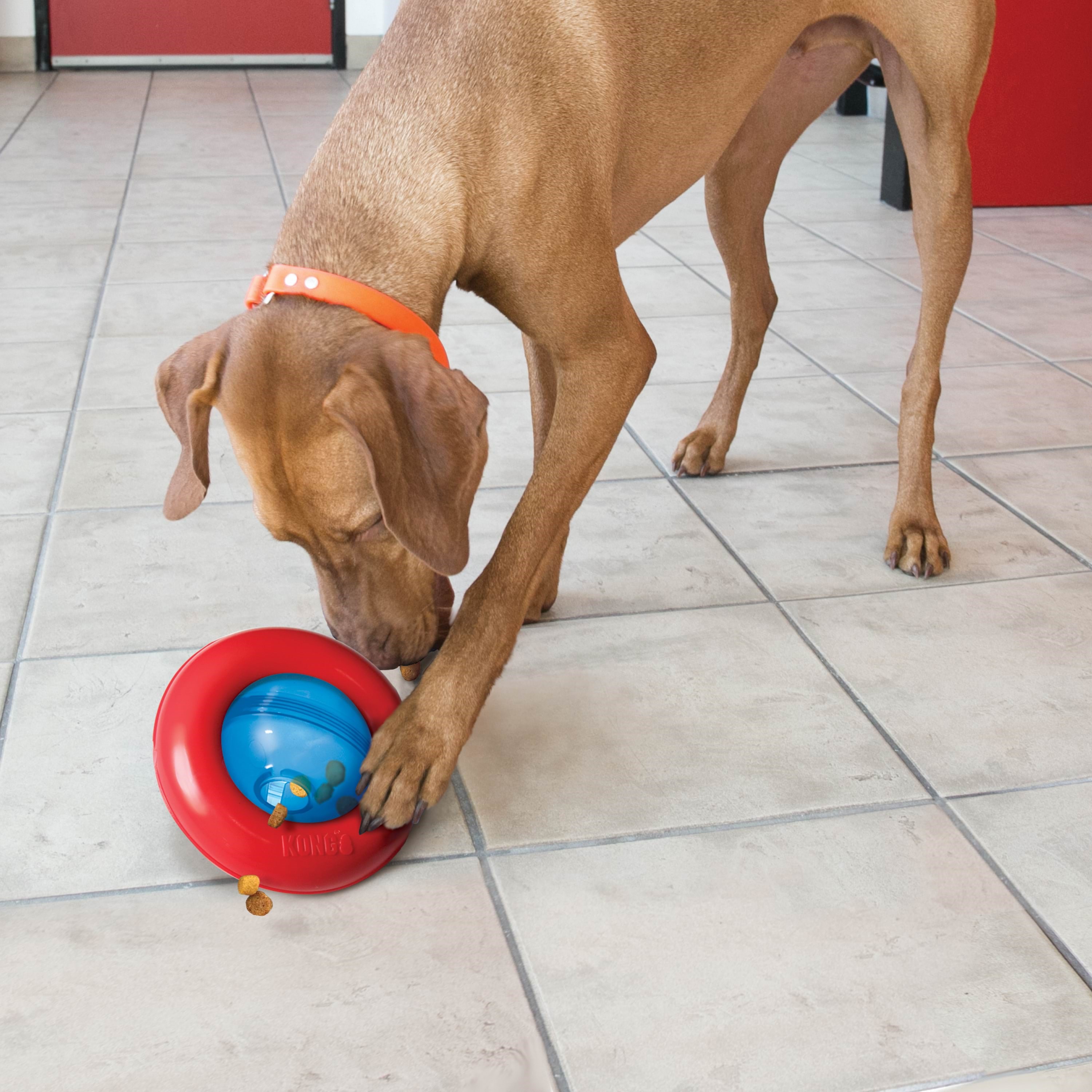 Kong Dog Toy Gyro Small 14cm - Hunde