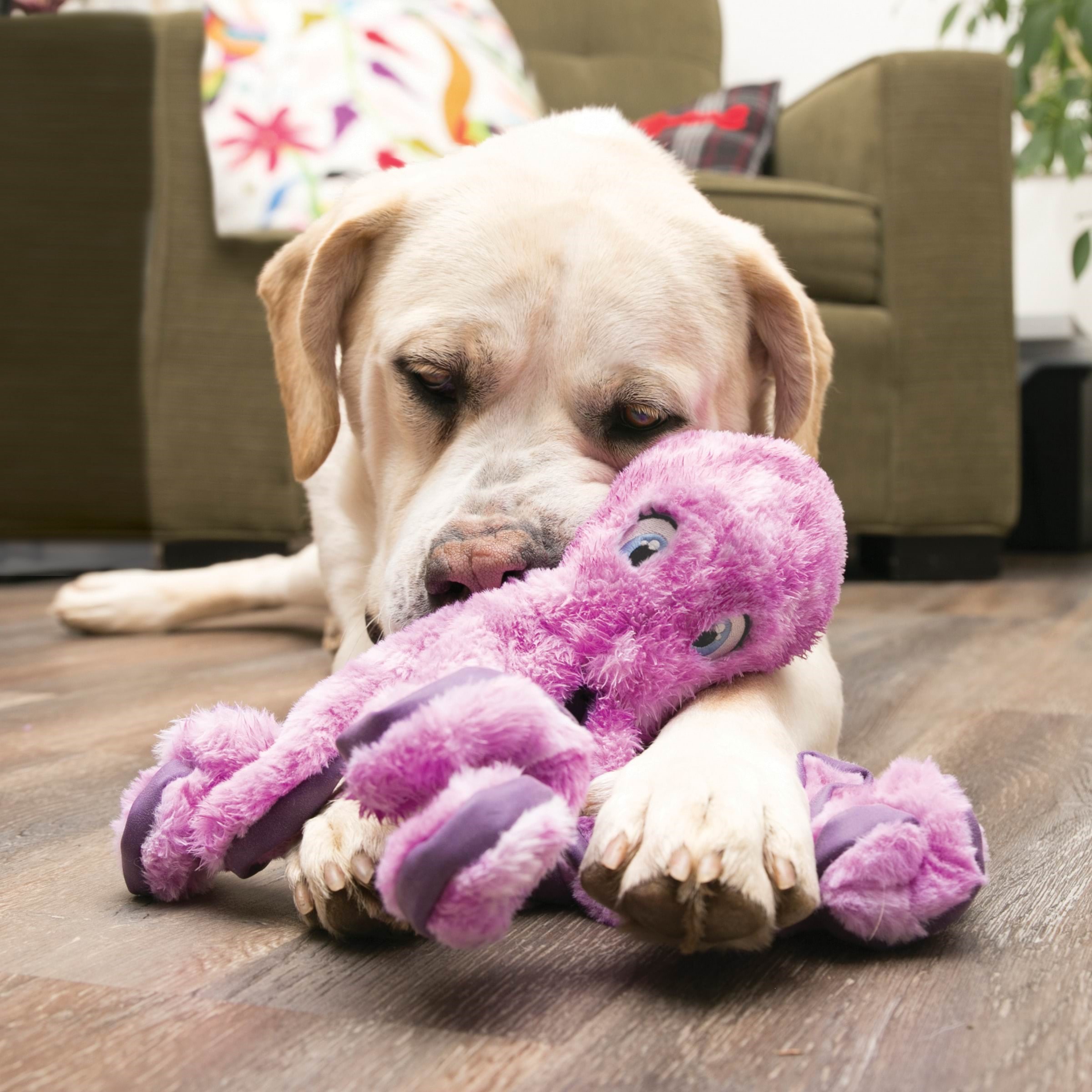 Kong Dog Toy Softseas Octopus Large 27cm - Hunde