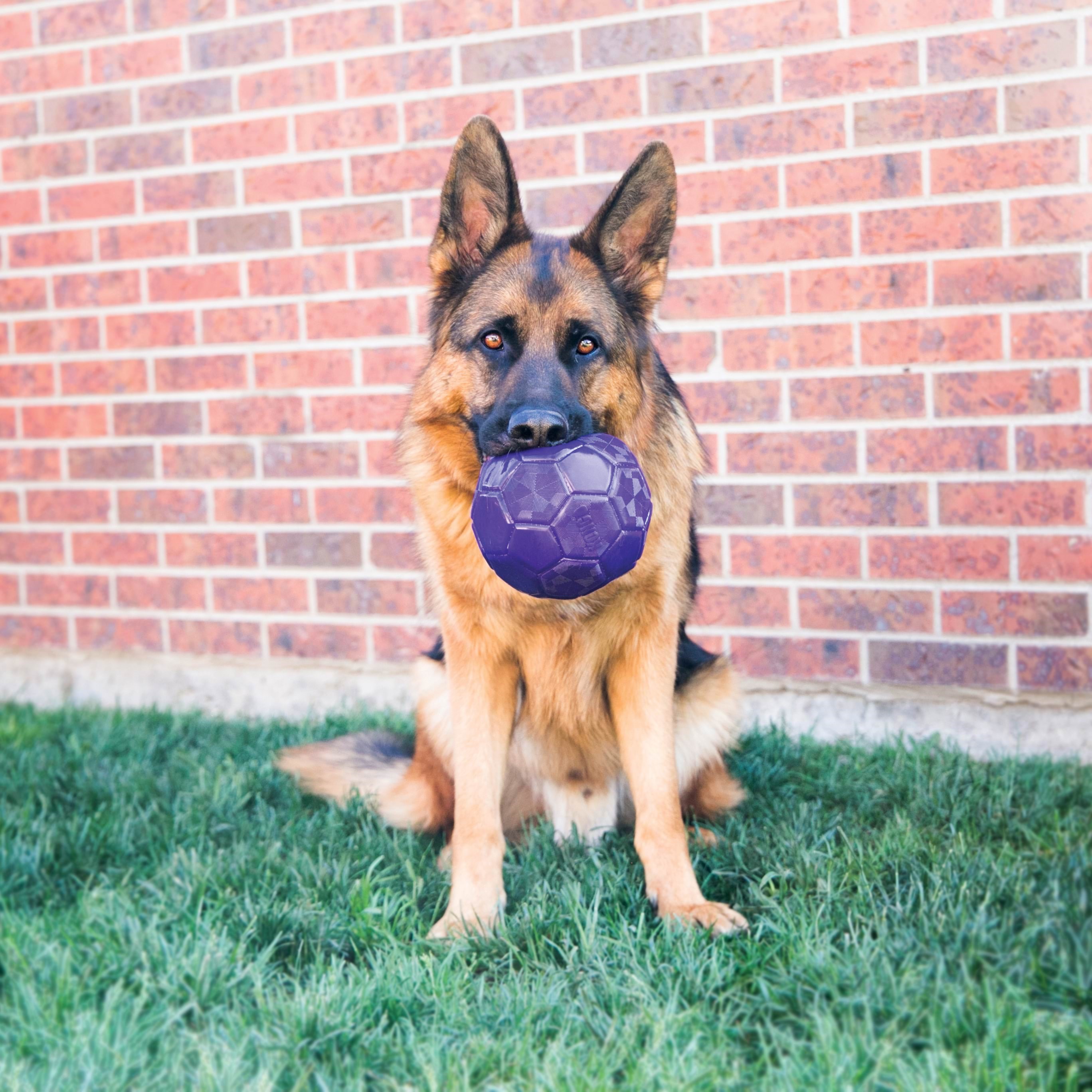 Kong Dog Toy Flexball 15cm - Hunde
