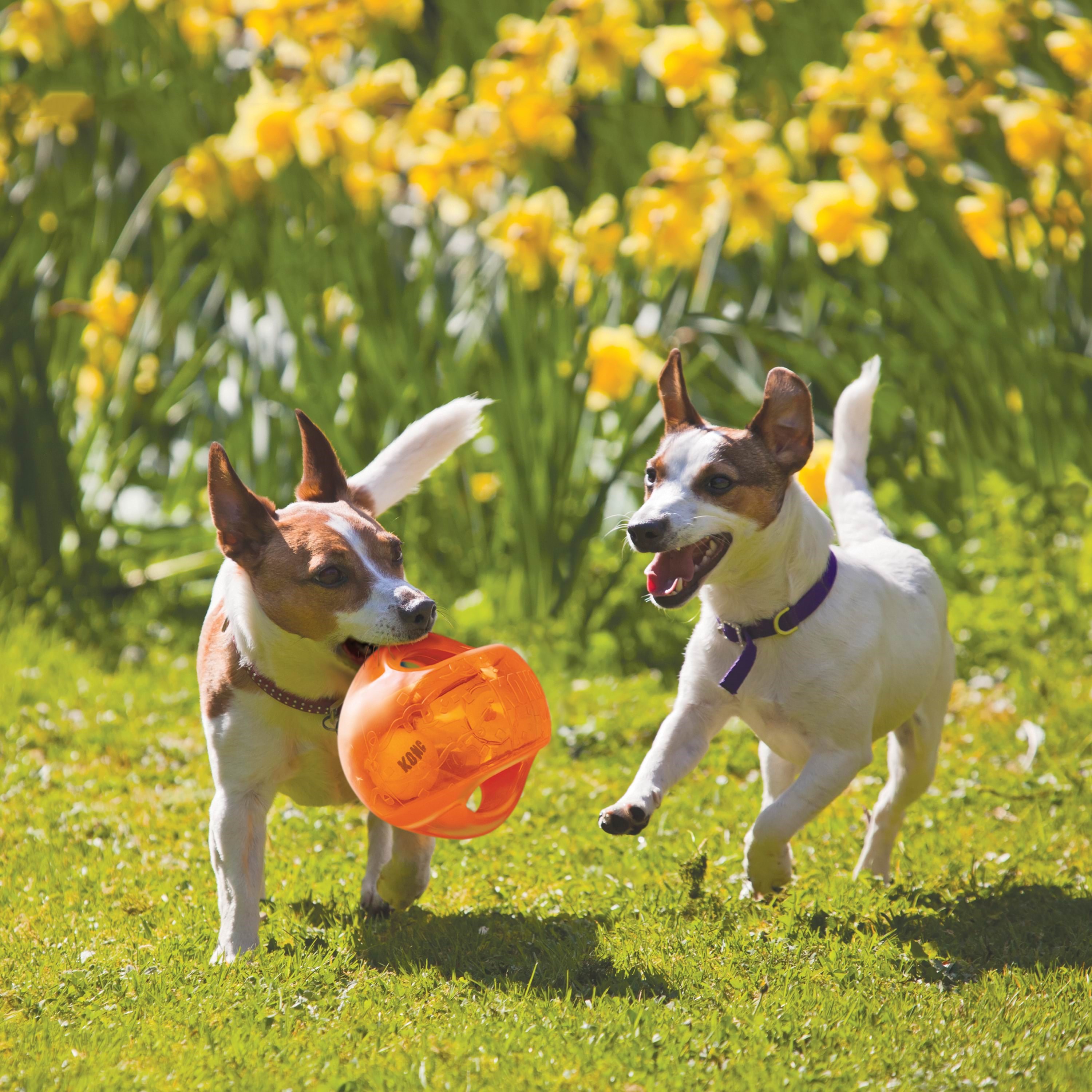 Kong Dog Toy Jumbler Ball Medium/large 14cm - Hunde 340917