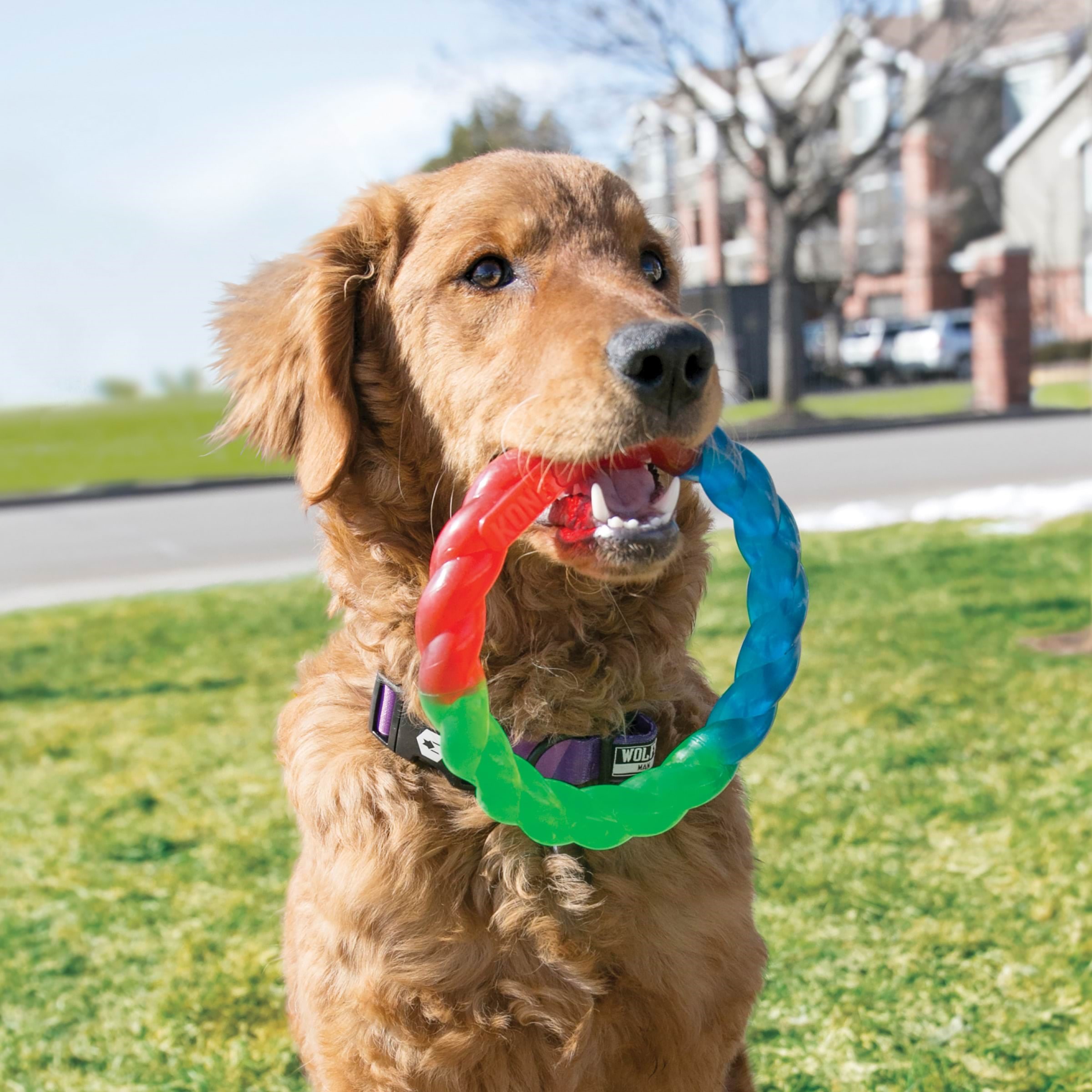Kong Dog Toy Twistz Ring Small 17cm - Hunde