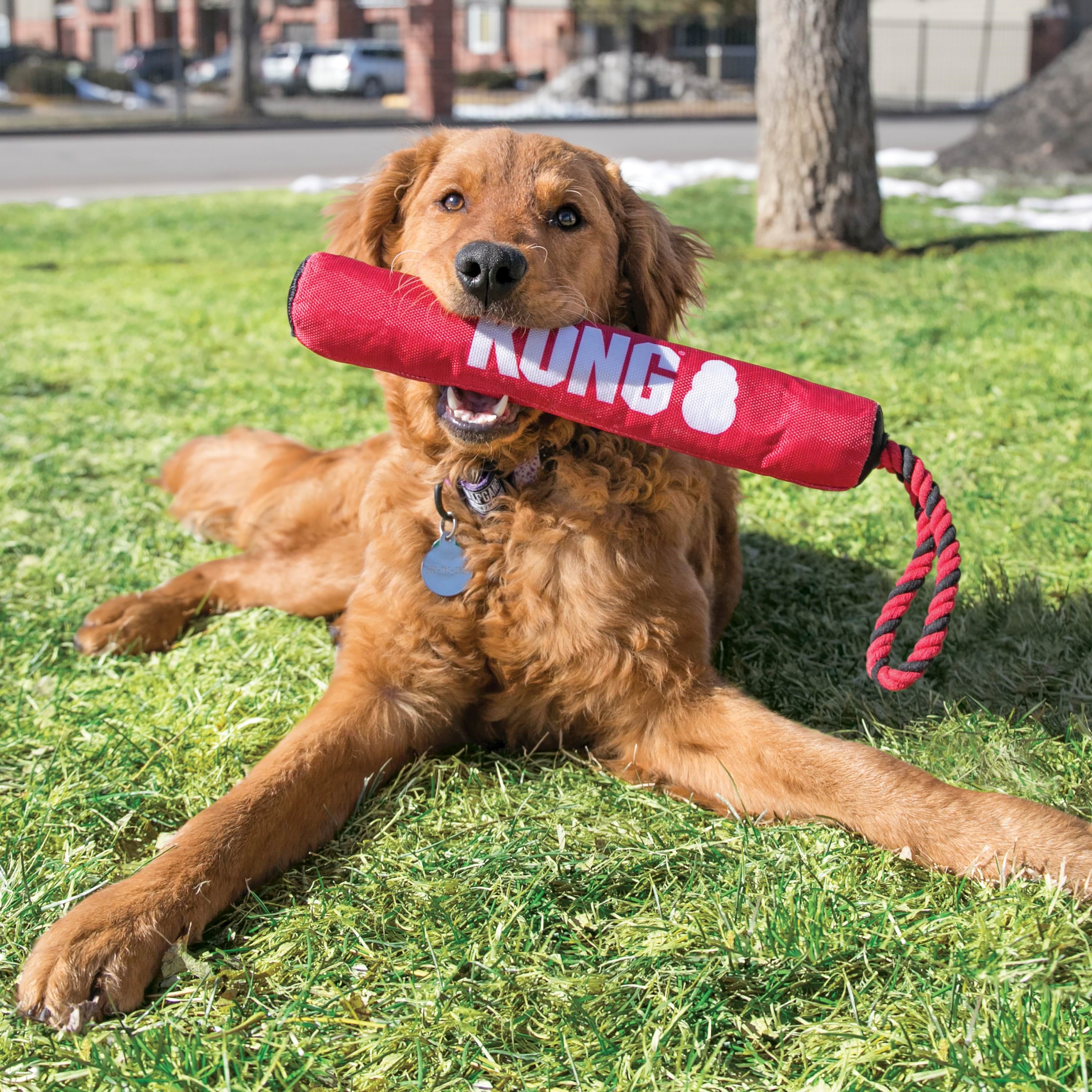Kong Hundespielzeug Signature Stick Mit Seil 30cm 340941