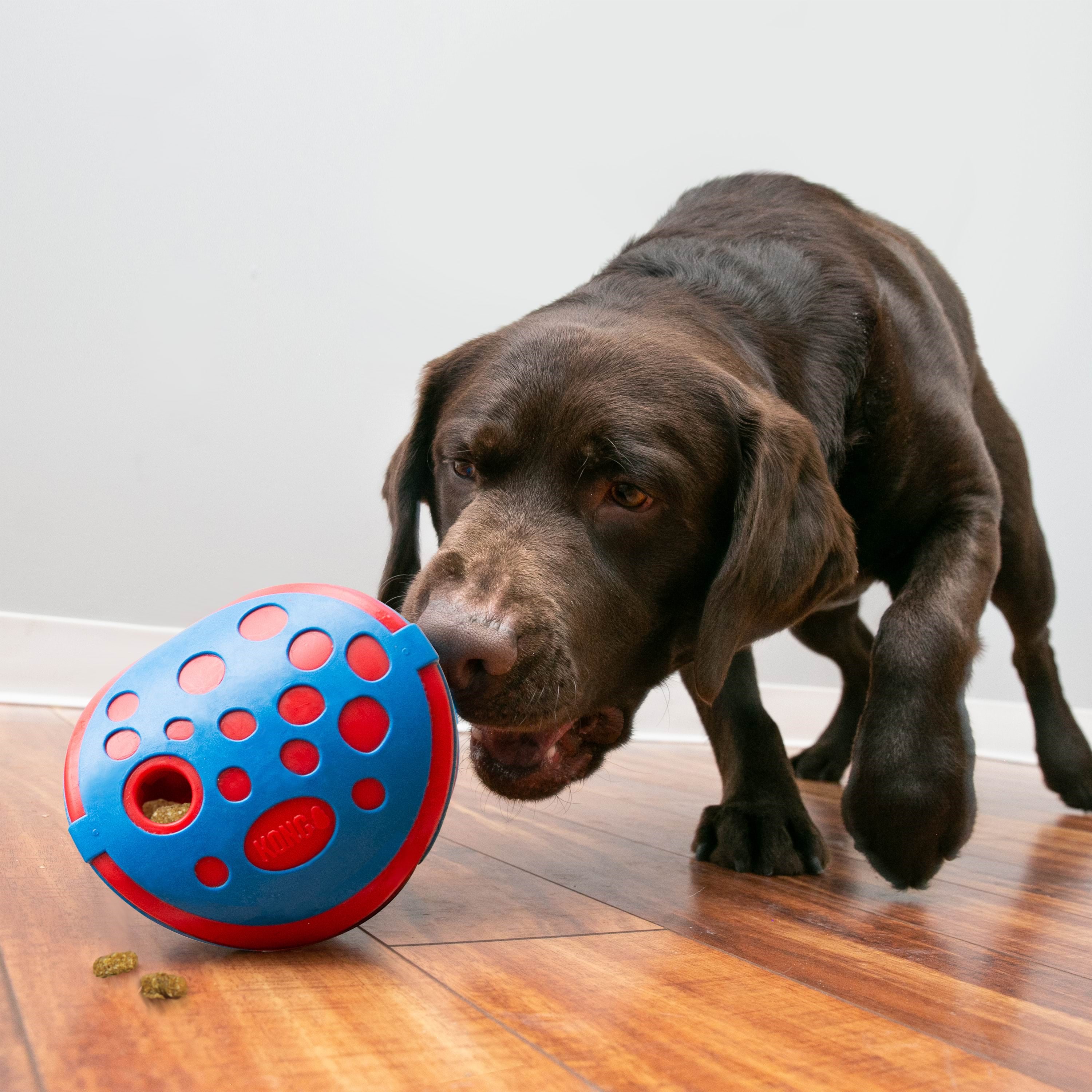 Kong Activation Toy Rewards Wally - Hunde