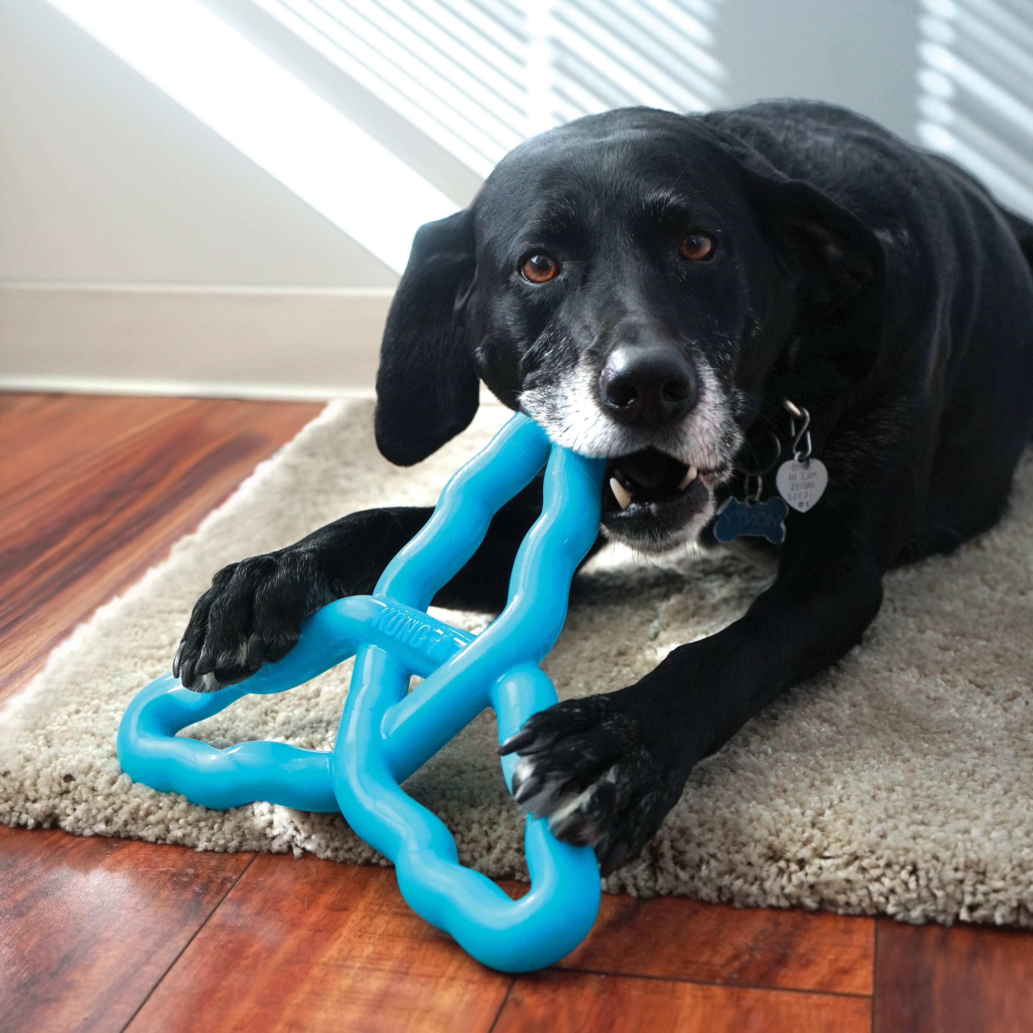Kong Dog Toy Flyangle Assorted Colors Large - Hunde 341015