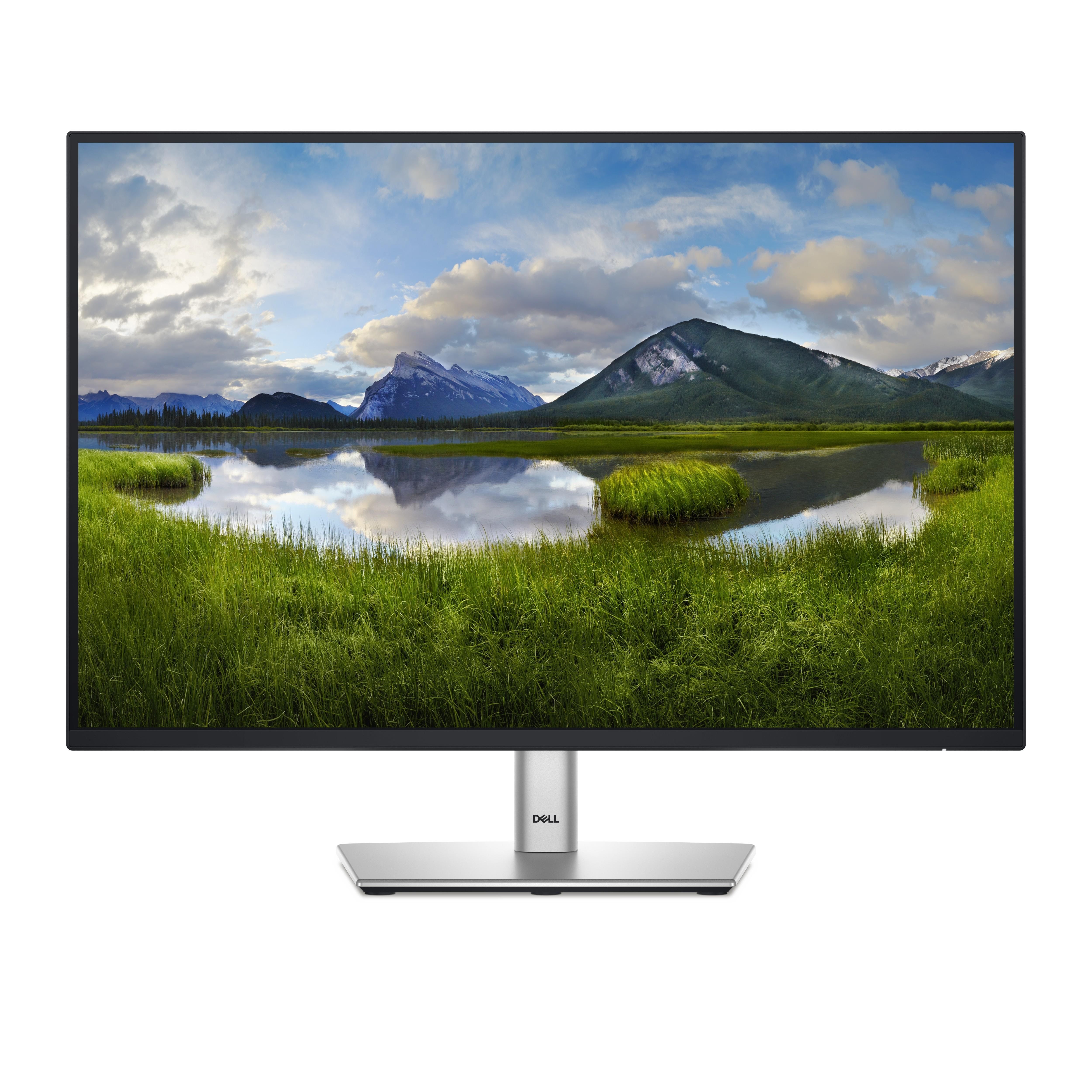 24" Dell P2425 - 1920x1200 - 100hz - Ips - 15w Usb-c - Bildschirm