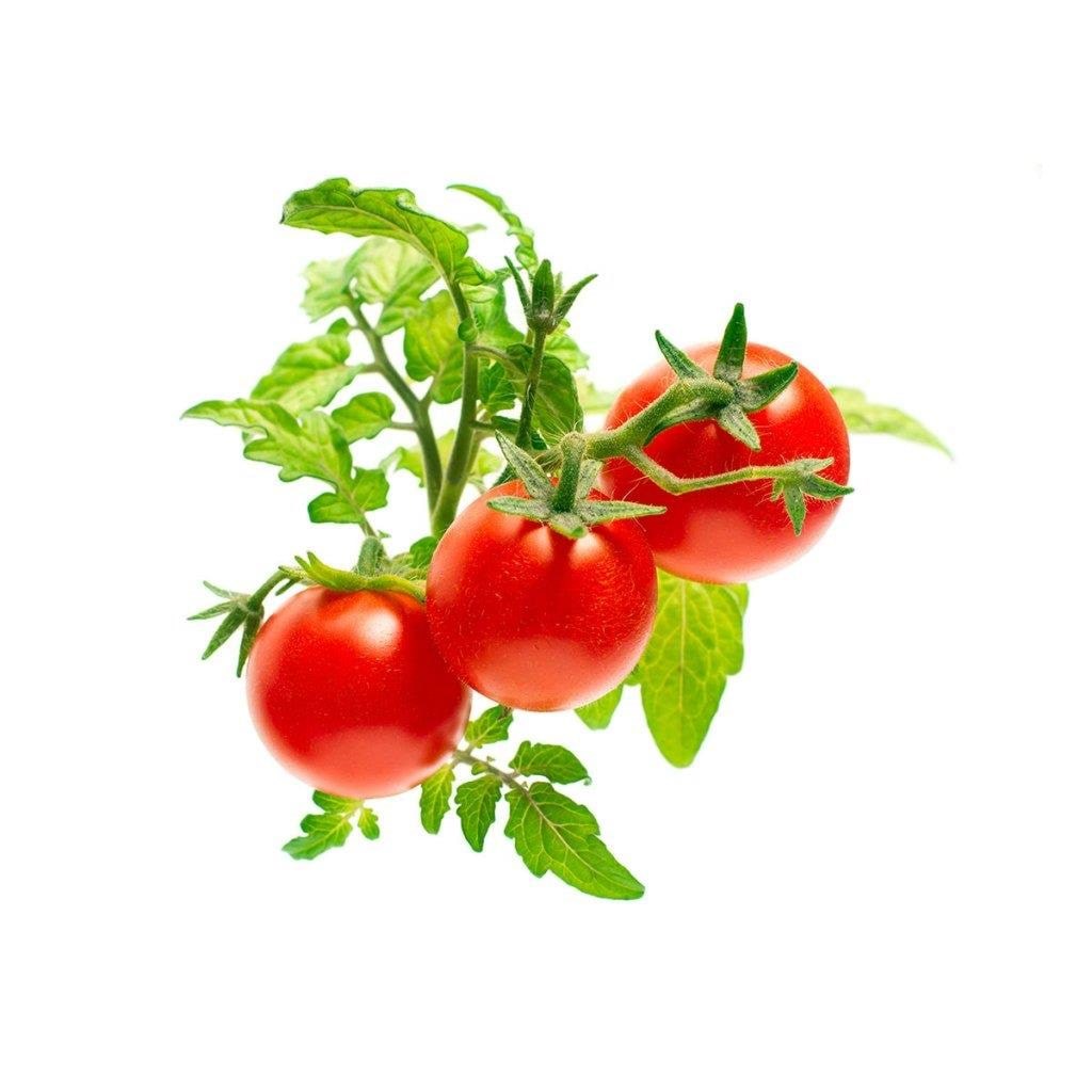 Click & Grow Click And Grow - Smart Garden Refill 3-pack - Mini Tomato (Sgr5x3) - Smart Home