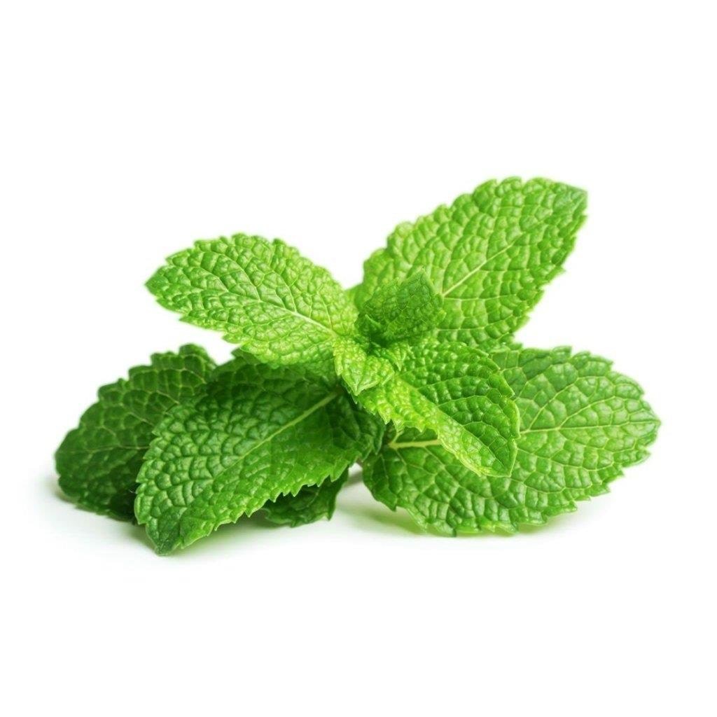 Click & Grow Click And Grow - Smart Garden Refill 3-pack - Peppermint (Sgr22x3) - Smart Home