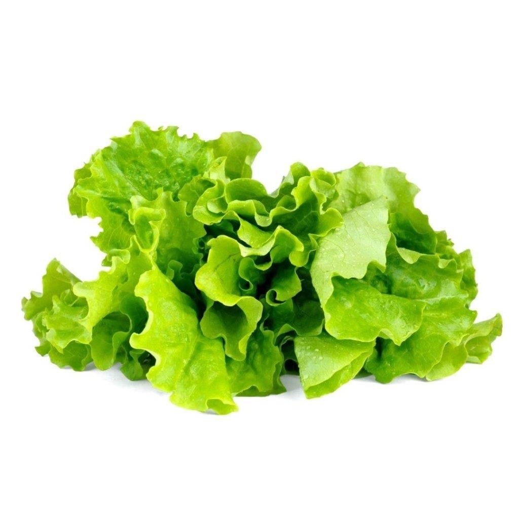 Click & Grow Click And Grow - Smart Garden Refill 3-pack - Green Lettuce (Sgr32x3) - Smart Home