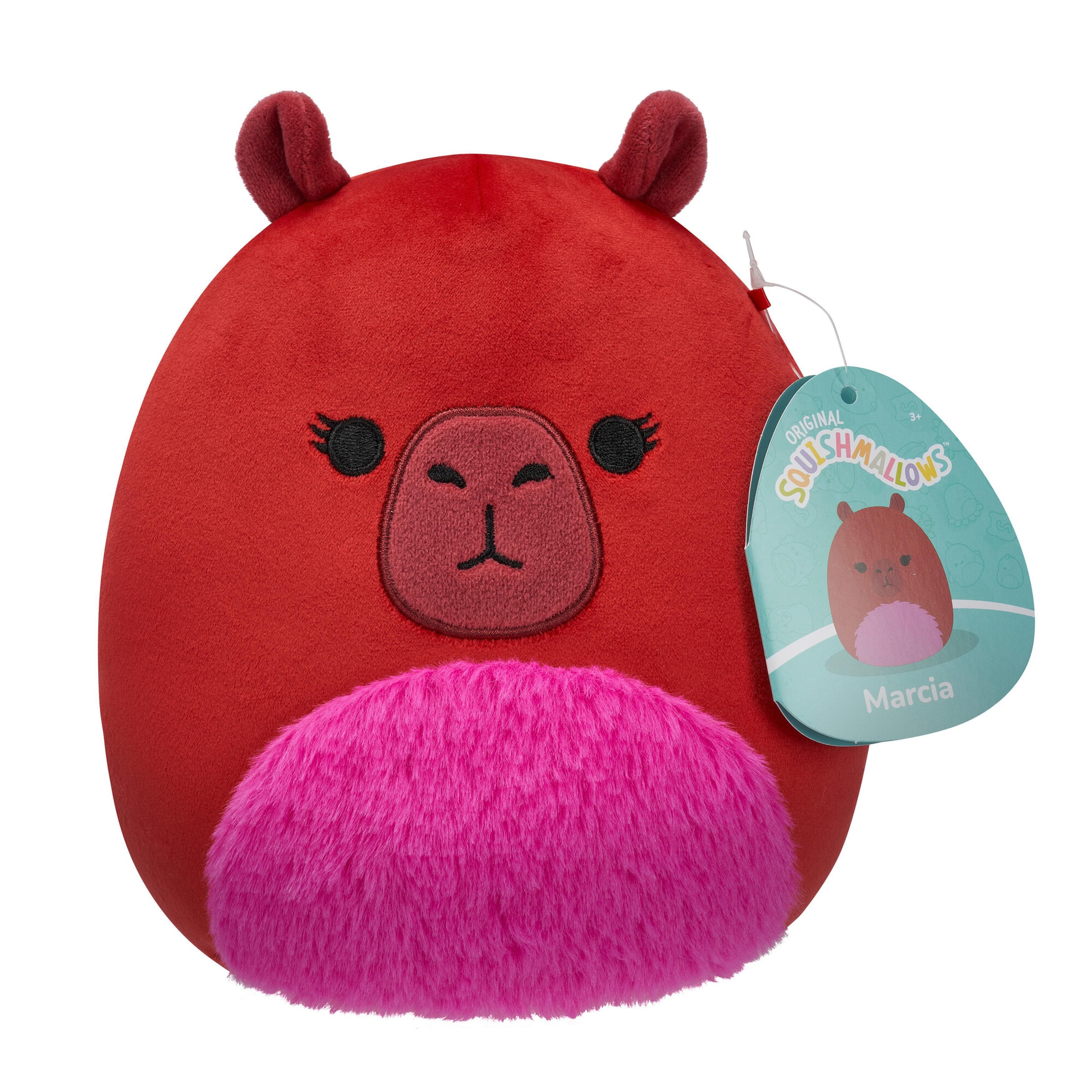 Squishmallows Marcia The Capybara 19 cm - Plush 0196566452343