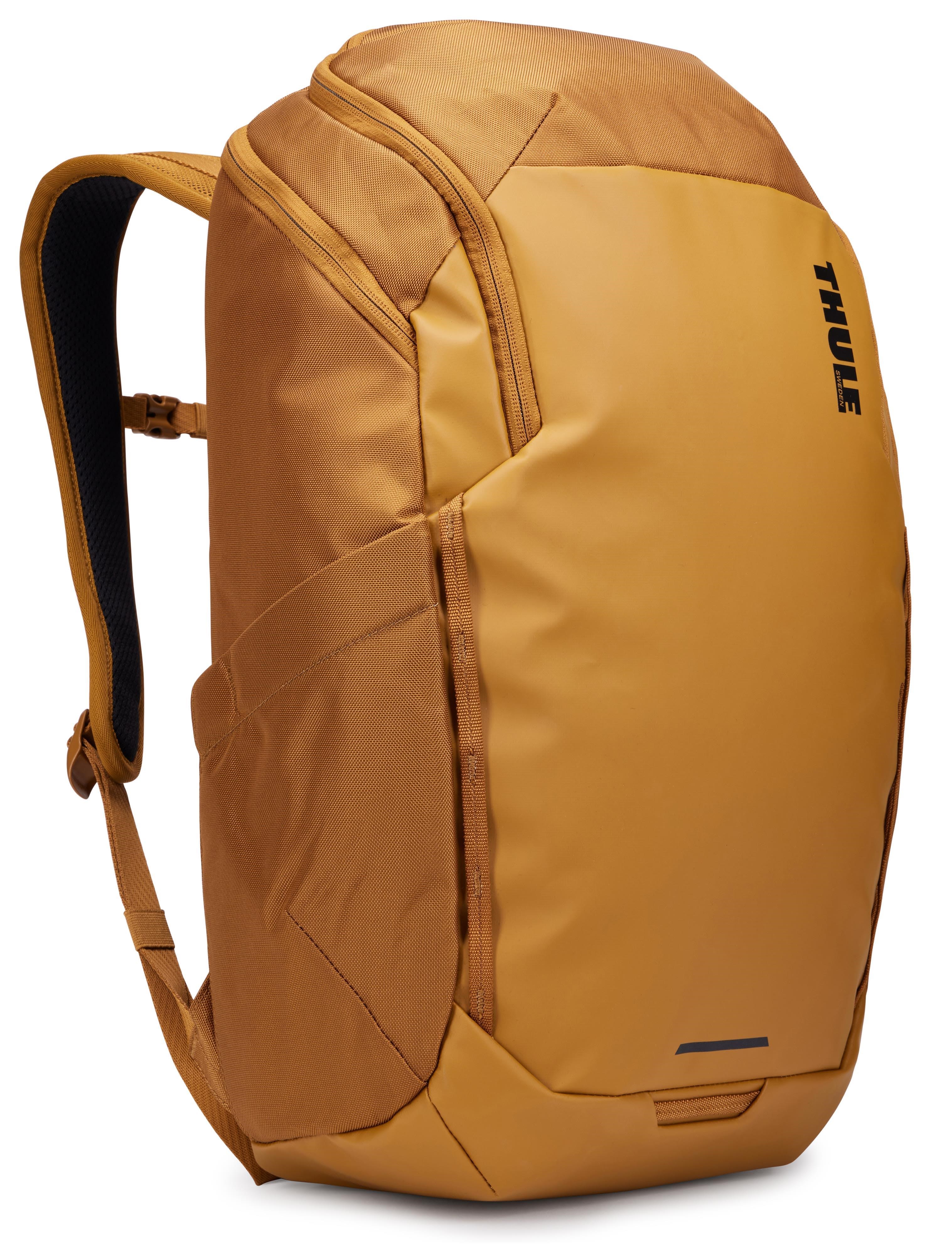Thule Chasm - 26l | Golden - Taschen