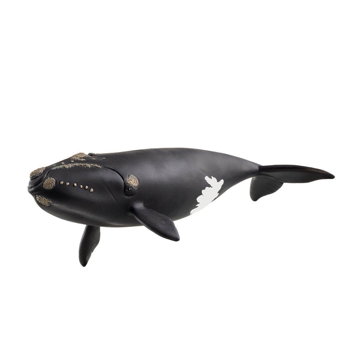 Schleich Nordatlantischer Glattwal