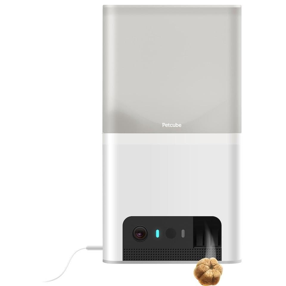 Petcube Bites 2 Light - Hunde Bl10us