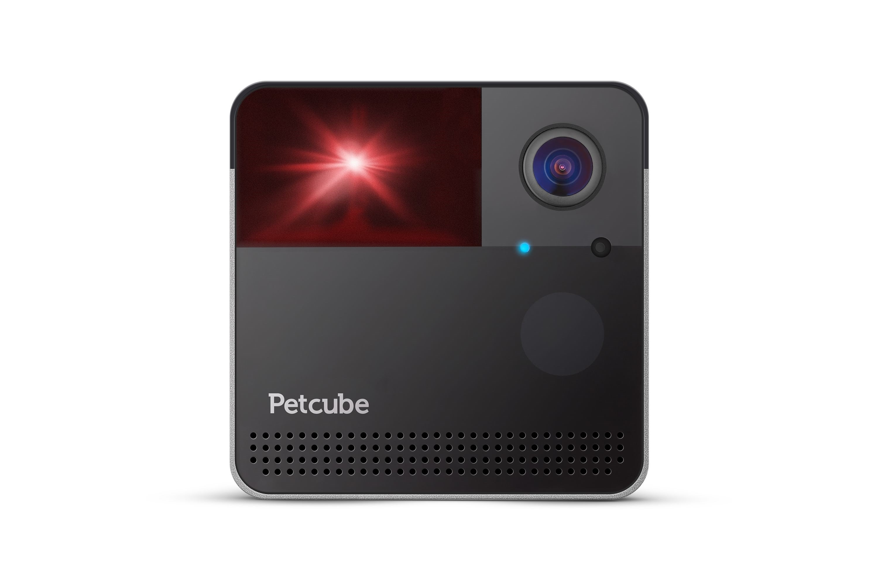 Petcube Play2 - Katzen