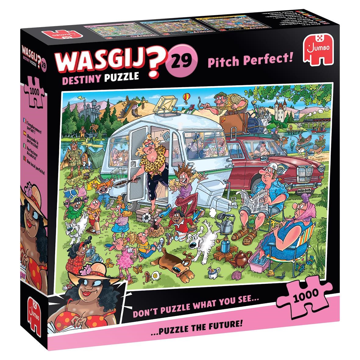 Wasgij Destiny 29 Pitch Perfect! (1000) - Puzzle