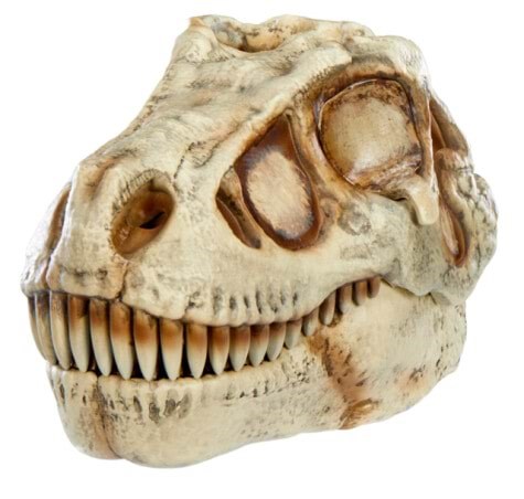 Gross-a-saurus Grossmos Dino - Assorted - Figuren