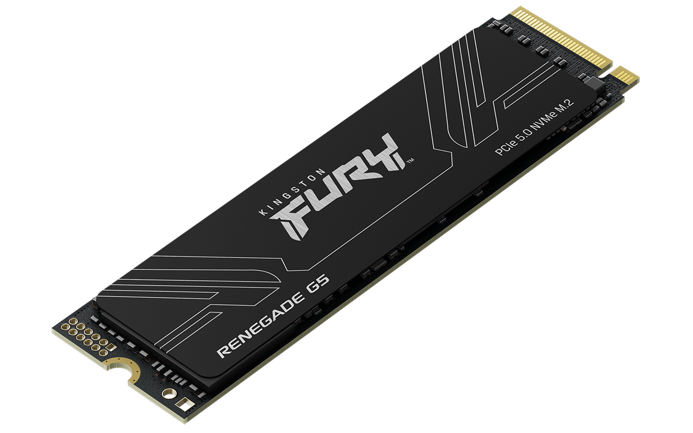 Kingston Fury Renegade G5 Ssd - 1tb - Pcie 5.0 - M.2 2280 Schwarz Sfyr2s/1t0